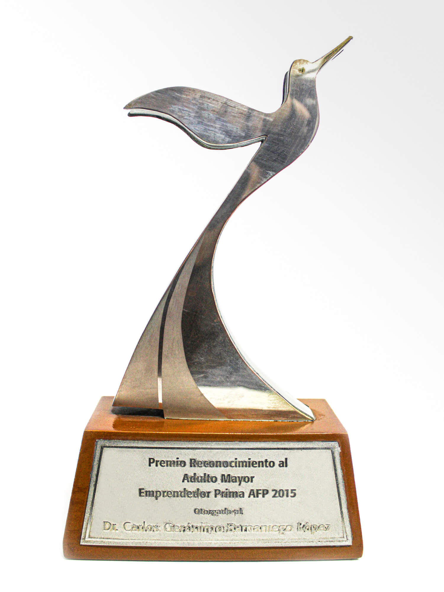 RECONOCIMIENTO AL ADULTO MAYOR 2015