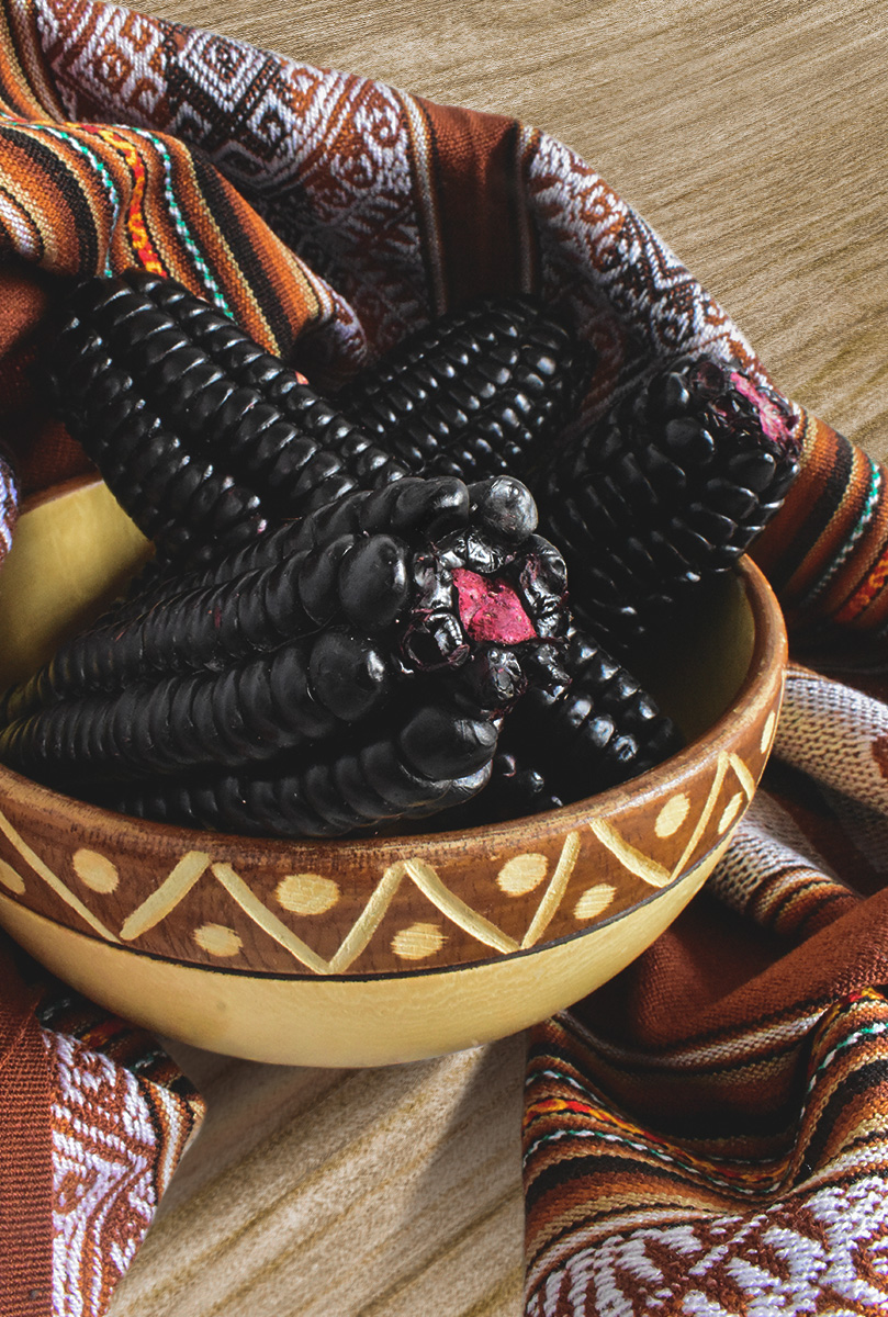 maiz-morado-banner-auxiliar